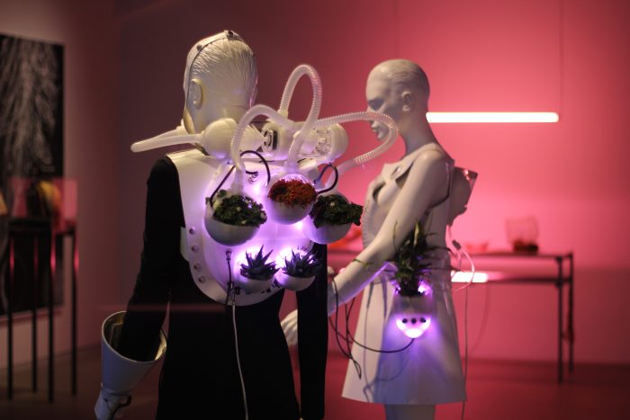 Symbiotic Interaction en Eco-Visionarios. Hek. Basel
