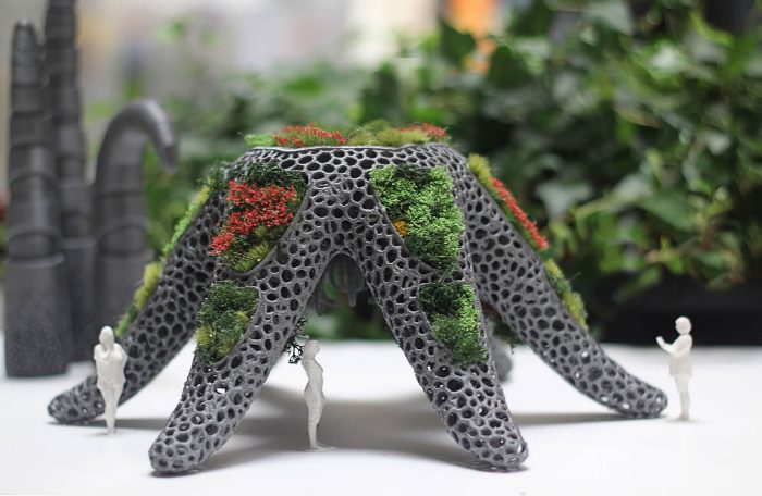 Las plantas también miran a las estrellas