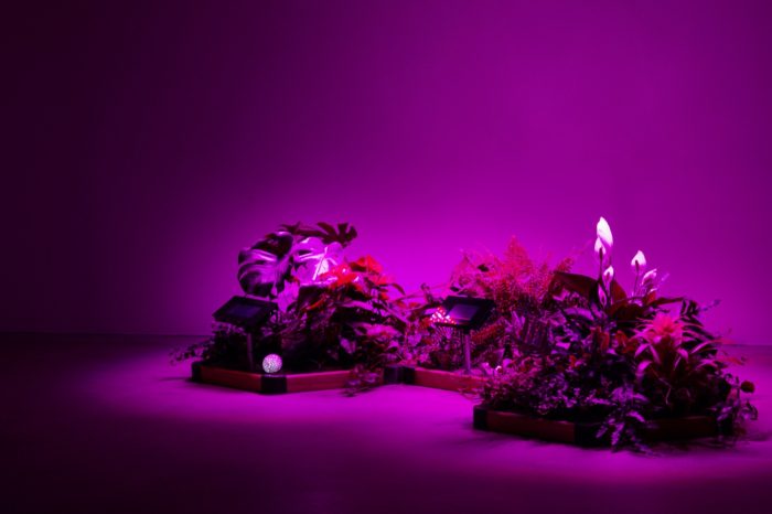 Beyond Human Perception - Basilea