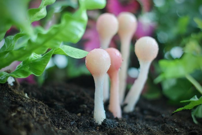 Unexpected Ecosystems
